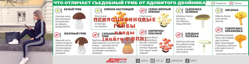 купить  цена  гидра как войти  Галлюциногенные грибы Psilocybe  Фролово 